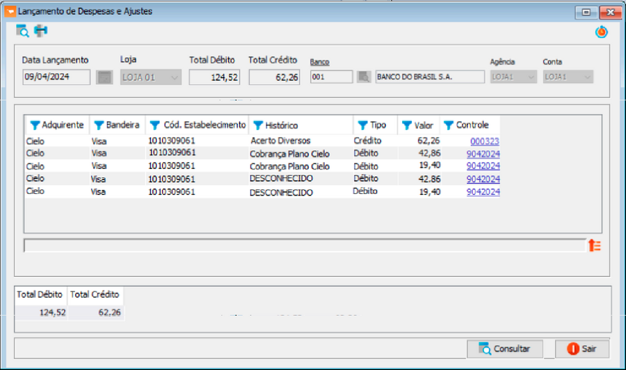 Lançamento-de-Despesas-e-Ajustes.png