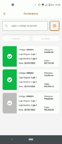 Arquivo:ConsultaConferenciaParanaiba2.gif